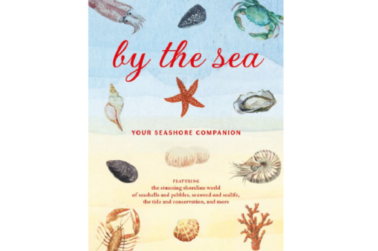 By the Sea: Your Seaside Companion